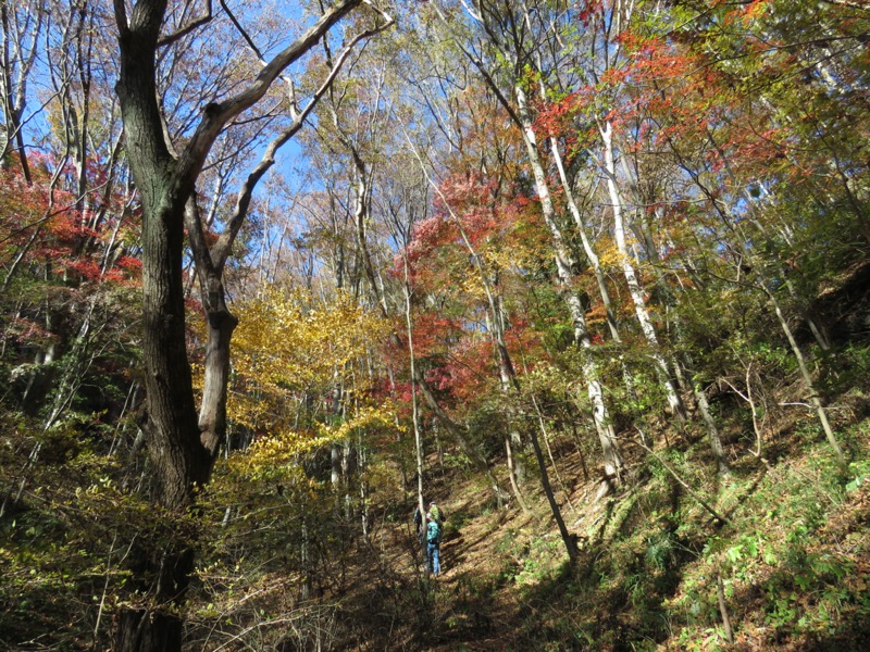 奥久慈・男体山